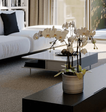 Tamtam services intergroupe